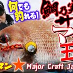 何でも釣れるタイラバサビキ釣り！「ヒロセマンの鯛乃実サビキdeマダイ五目ゲーム」（メジャークラフト）