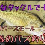 春のバス釣り！安いタックルで十分！川でスモールマウスバスを釣る！