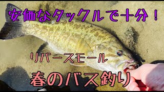 春のバス釣り！安いタックルで十分！川でスモールマウスバスを釣る！