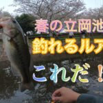 『熊本バス釣り』春の立岡池リクエスト釣行ベイトタックル編