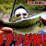 【バス釣り】表層で寄せて底で食わせるブラックバスと知恵比べ #バス釣り