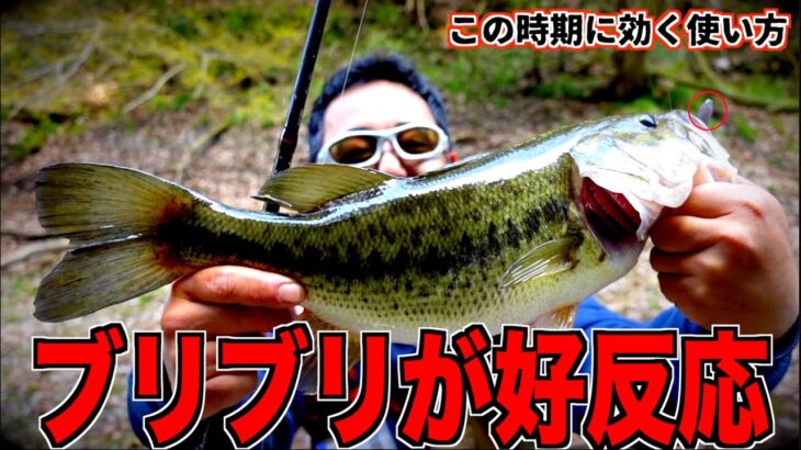 【バス釣り】表層で寄せて底で食わせるブラックバスと知恵比べ #バス釣り