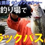 日本有数の管理釣り場で ブラックバスに挑む！@キングフィッシャー