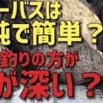 シーバスは簡単すぎる？難易度はブラックバスが高い？その差は一目瞭然？