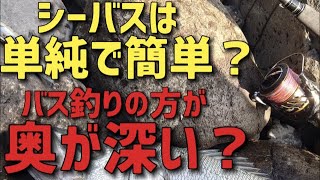 シーバスは簡単すぎる？難易度はブラックバスが高い？その差は一目瞭然？