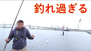 【必見】春のサビキ釣り！爆釣の秘訣は…　　小名浜港　富原先生