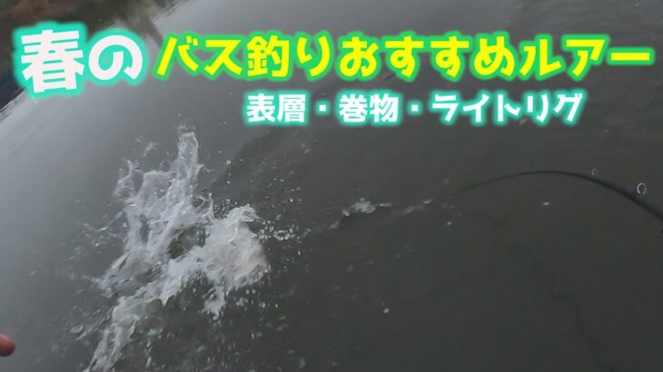 【レイドジャパン】春のバス釣りおすすめルアー