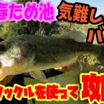 春ため池!!気難しいバスをベイトタックルを使って攻略!![金森隆志]