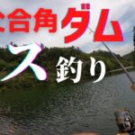 【おかっぱり】埼玉県 秩父 合角ダム バス釣り チャレンジ（2021年～要入漁料）