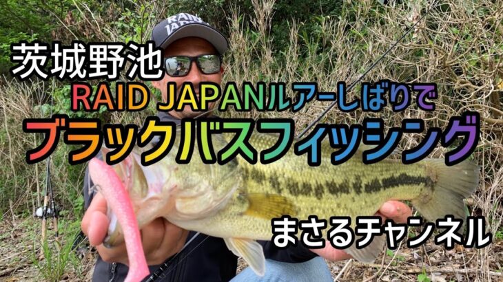 【バス釣り】2021.5.9  茨城野池　RAID JAPANルアーしばりでブラックバスフィッシング　