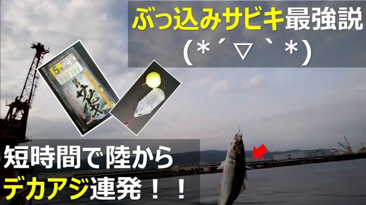 ぶっ込みサビキ釣り仕掛けで堤防からデカアジ釣り夕まずめの短時間釣行【5月に刺身用良型が連発】