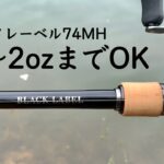 遂にダイワのヘビーバーサタイルロッドを買いました【ブラックレーベル BLX LG741MHRB】