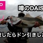 噂のDAISO VJを初試投したらドン引きする良型が連発した#1