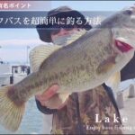 【琵琶湖バス釣り】日曜日の浜大津でも簡単にブラックバスが釣れる方法が存在した。”Easy way to catch a black bass in high pressure field”おかっぱり