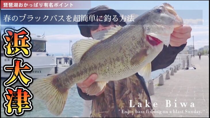 【琵琶湖バス釣り】日曜日の浜大津でも簡単にブラックバスが釣れる方法が存在した。”Easy way to catch a black bass in high pressure field”おかっぱり