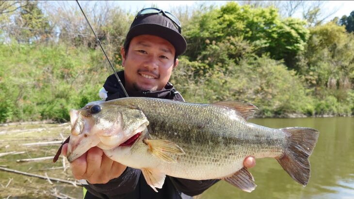 [バス釣り] 岸からのバスフィッシング〈ソフトルアー編〉～FISHING DOOR〜／真崎 悠汰