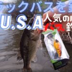 ブラックバスを釣る in U.S.A アメリカで人気メーカーのルアーは本当に釣れるのかNYの池で実釣
