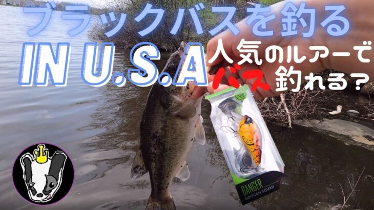 ブラックバスを釣る in U.S.A アメリカで人気メーカーのルアーは本当に釣れるのかNYの池で実釣
