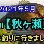 荒川【秋ヶ瀬】でバス釣り。