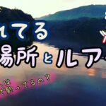 釣れてる場所とルアーの種類とは？　相模湖のブラックバスは天才過ぎない？　バスフィッシング