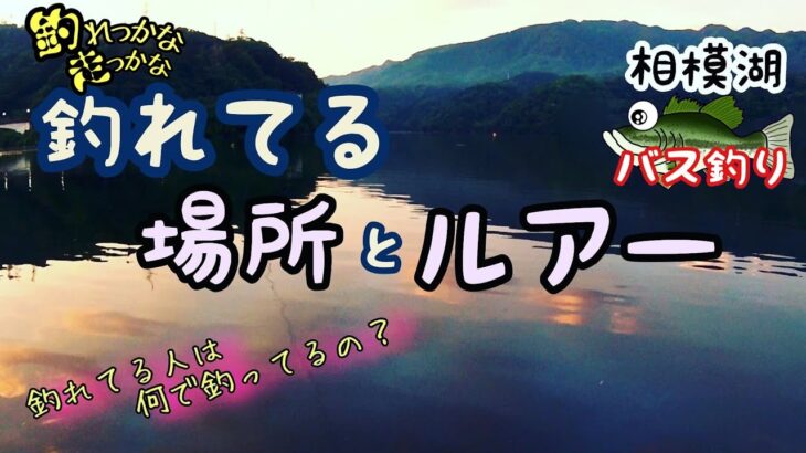 釣れてる場所とルアーの種類とは？　相模湖のブラックバスは天才過ぎない？　バスフィッシング