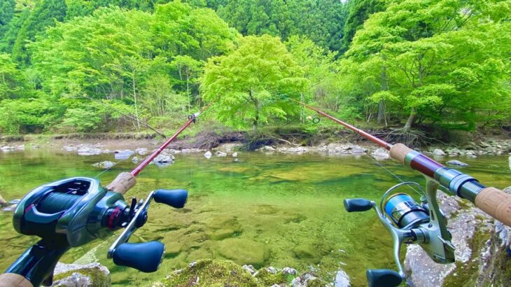 ここならバス釣りと渓流釣り同時に楽しめる説