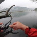 【のんびりバス釣り】初めての場所で雨の中釣りをしたらブラックバスが釣れました