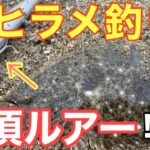 【サーフヒラメ】半年間釣果無し男を救った神ルアーがコレです