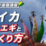 【初心者必見】春イカ攻略、プロが明かすエギの使い分けと誘い方を徹底解説！釣れるしゃくりから間合いまで一挙公開！