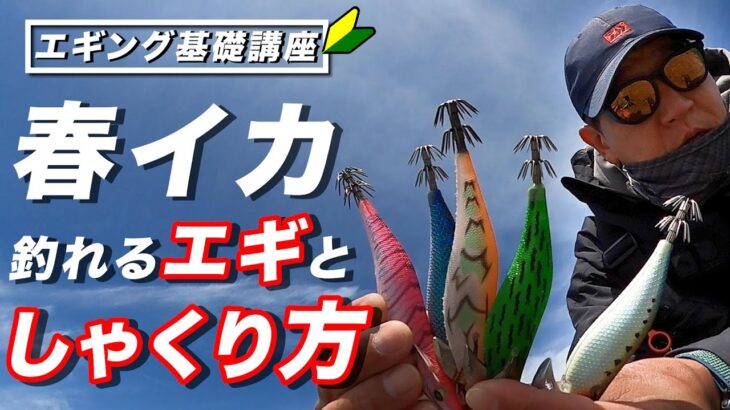 【初心者必見】春イカ攻略、プロが明かすエギの使い分けと誘い方を徹底解説！釣れるしゃくりから間合いまで一挙公開！