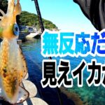 【エギング】無反応な見えイカ釣り。ビギナーさん向け。大分エギング