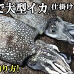 堤防からエギに天秤つけて投げたら春のイカが連発！最強のイカ釣り仕掛けが凄すぎた！簡単仕掛けでシリヤケイカ釣り【東扇島西公園】