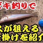 【サビキ釣り】サビキ釣りでキスやハゼ等を同時に狙える仕掛けと釣り方を紹介します！！　手軽に色んな魚種を釣りたい方におすすめです！！【天秤カゴ】