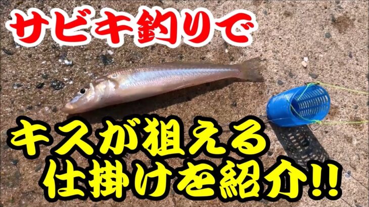 【サビキ釣り】サビキ釣りでキスやハゼ等を同時に狙える仕掛けと釣り方を紹介します！！　手軽に色んな魚種を釣りたい方におすすめです！！【天秤カゴ】