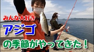 伊万里湾でサビキ釣り【つり具のまるきん釣り情報】