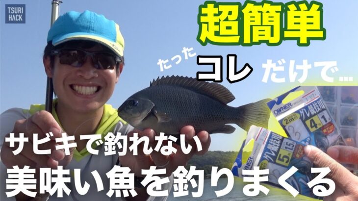 サビキで釣れない魚を釣りたくて、超簡単仕掛けで色々試してみたら…美味しい魚がめっちゃ釣れた！釣り初心者の方にも超オススメです！