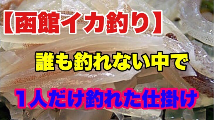 【函館イカ釣り】誰も釣れない中で1人だけ釣れた仕掛け！