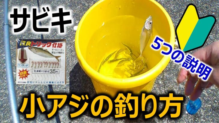 【解説：初心者向け】サビキ釣り方 ～5つの説明～