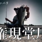 初めて権現堂川へバス釣りに行ってみた【6月】埼玉