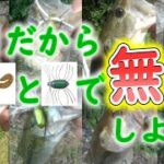 【7月のバス釣り】たまにはのんびり釣れるルアーでひたすら釣ろうよ【野池無双】