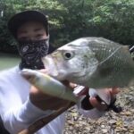 Fishing Gang ep53沖縄でブラックバスタックルで制すジャングルパーチ