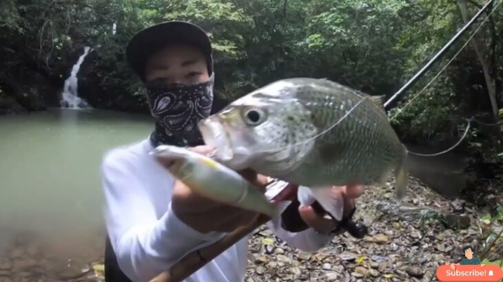 Fishing Gang ep53沖縄でブラックバスタックルで制すジャングルパーチ