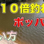 【バス釣り】ポッパーの使い方!!時期や釣れない理由・トップウォーターの釣り方や動かし方・アクションについて徹底解説!!【POPX】【メガバス】