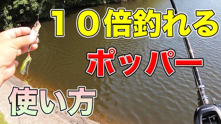 【バス釣り】ポッパーの使い方!!時期や釣れない理由・トップウォーターの釣り方や動かし方・アクションについて徹底解説!!【POPX】【メガバス】