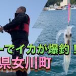 宮城県・女川漁港でイカが大量発生！？ルアーフィッシングでイカ釣り🦑　〈Squid fishing〉