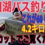 【河口湖バス釣り６０UP動画】ノーカットでご覧ください！！