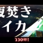 【夜焚イカ】シーズン開幕！ in玄界灘