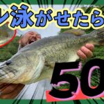 野池でバス釣り！「福井の野池でブルーギル泳がせたらランカーバス！」