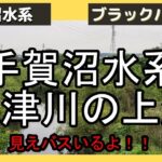 バス釣り！手賀沼水系大津川　上流の秘境探検！見えバスいたよ！