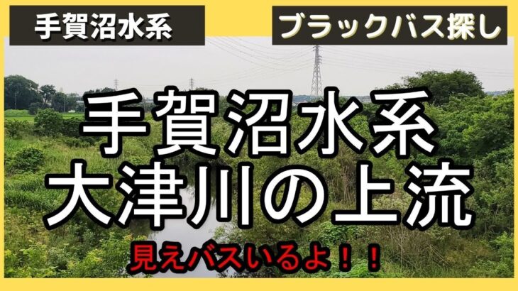 バス釣り！手賀沼水系大津川　上流の秘境探検！見えバスいたよ！